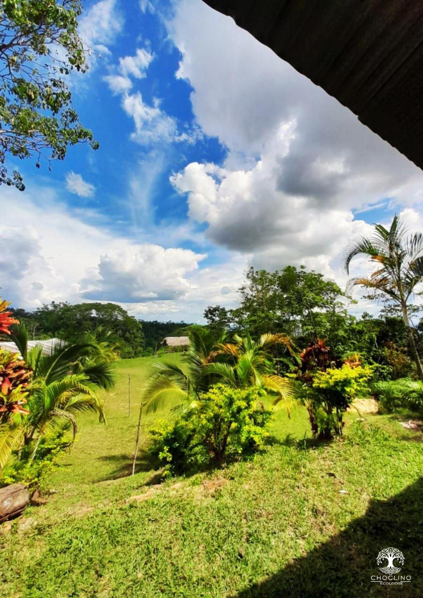 Choclino Ecolodge -Bungalows Tarapoto Dış mekan fotoğraf