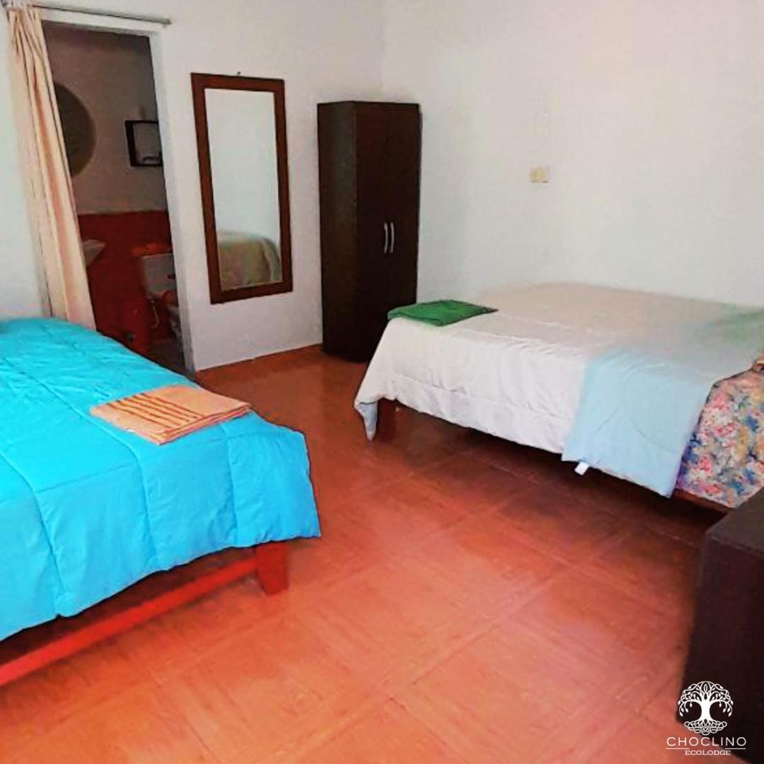 Choclino Ecolodge -Bungalows Tarapoto Dış mekan fotoğraf