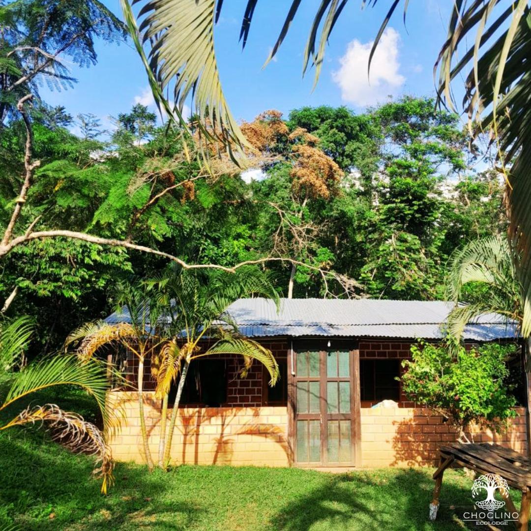 Choclino Ecolodge -Bungalows Tarapoto Dış mekan fotoğraf
