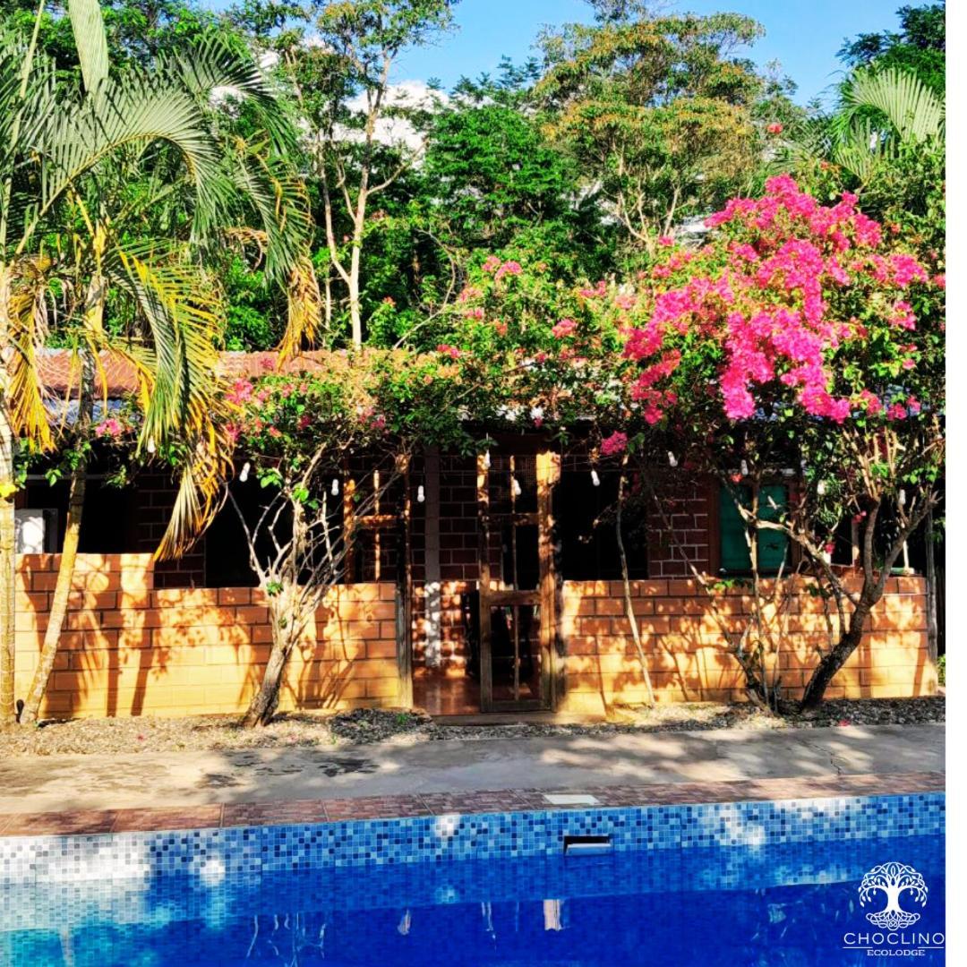 Choclino Ecolodge -Bungalows Tarapoto Dış mekan fotoğraf