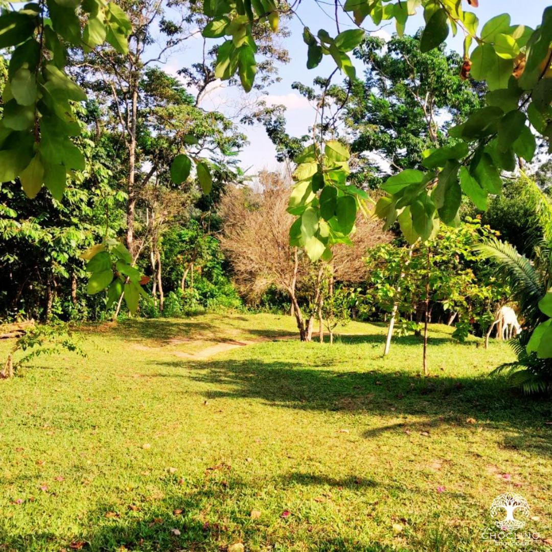 Choclino Ecolodge -Bungalows Tarapoto Dış mekan fotoğraf
