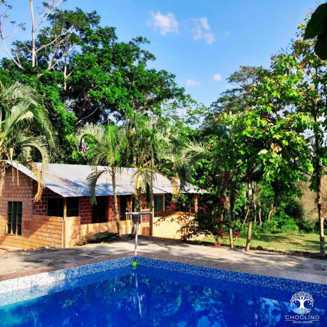Choclino Ecolodge -Bungalows Tarapoto Dış mekan fotoğraf