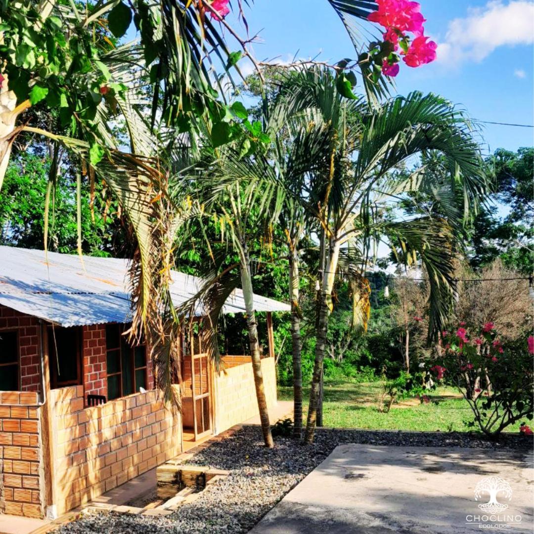 Choclino Ecolodge -Bungalows Tarapoto Dış mekan fotoğraf
