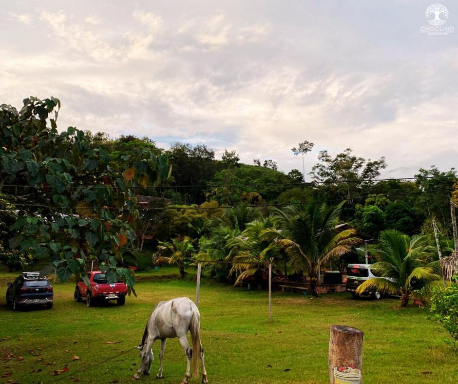 Choclino Ecolodge -Bungalows Tarapoto Dış mekan fotoğraf