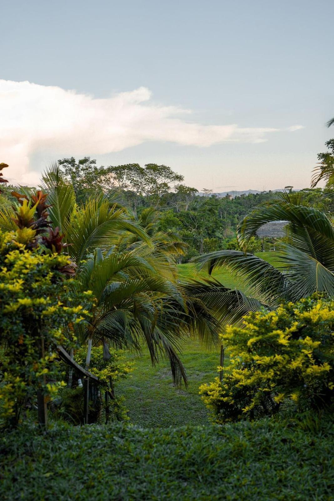 Choclino Ecolodge -Bungalows Tarapoto Dış mekan fotoğraf